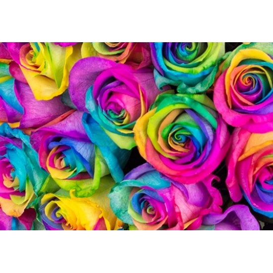 Twenty Rainbow Rose in Vase