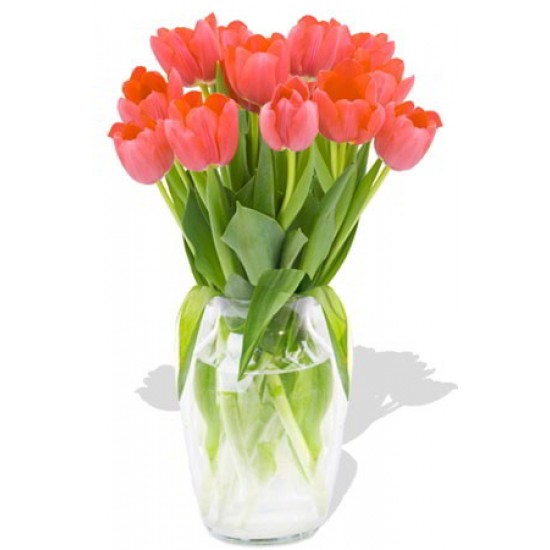 12 Orange Tulips Bouquet