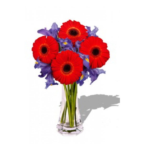 Gerbera and Iris Bouquet